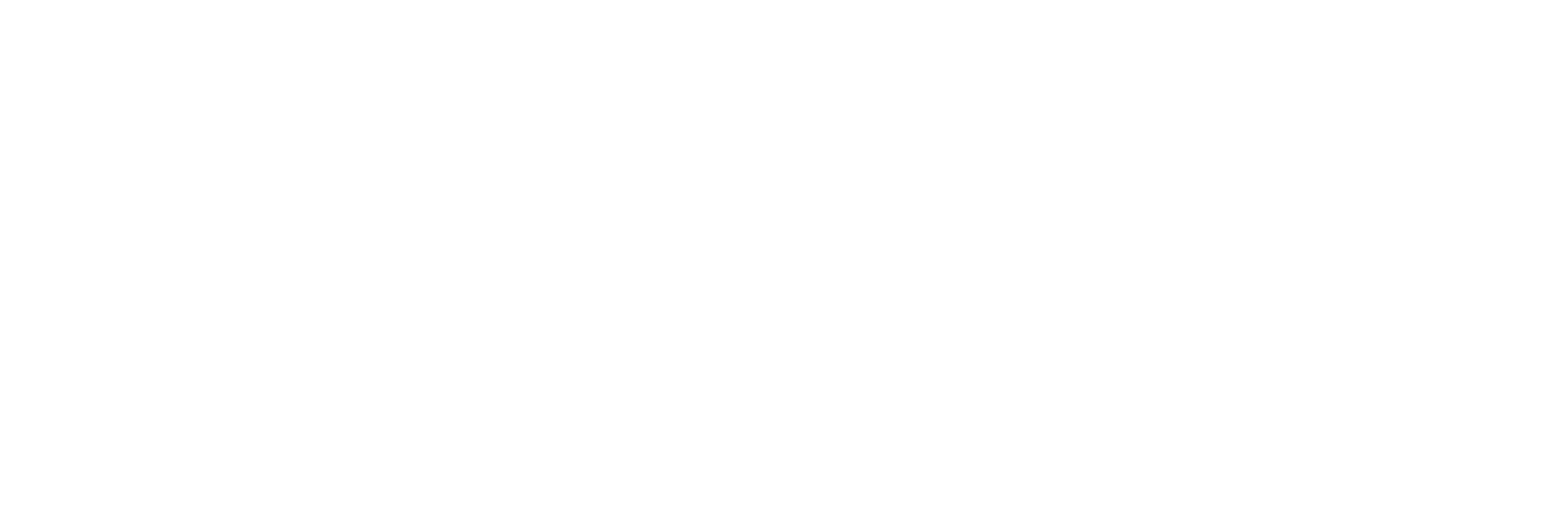Styla Logo